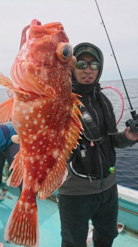 シードリーム 釣果