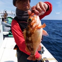 第三むつりょう丸 釣果