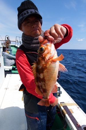 第三むつりょう丸 釣果