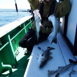 第三むつりょう丸 釣果
