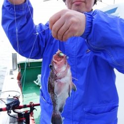 第三むつりょう丸 釣果