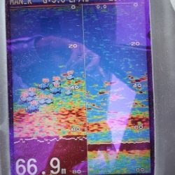 第三むつりょう丸 釣果