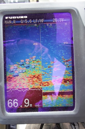 第三むつりょう丸 釣果