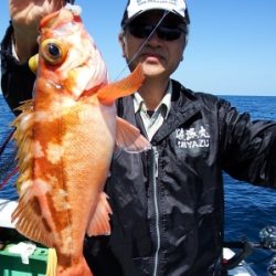 第三むつりょう丸 釣果