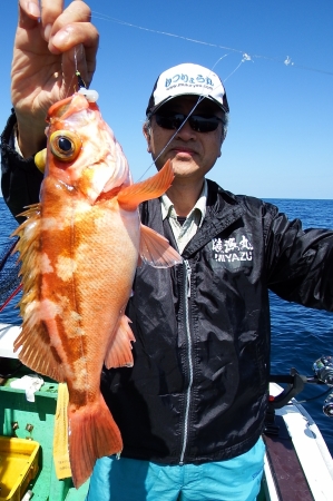 第三むつりょう丸 釣果