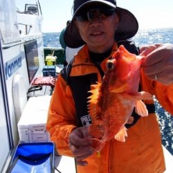 第三むつりょう丸 釣果