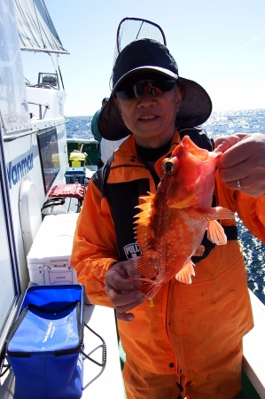 第三むつりょう丸 釣果