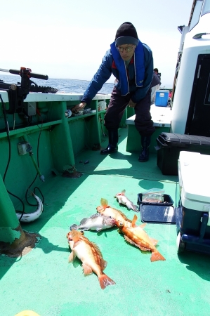 第三むつりょう丸 釣果