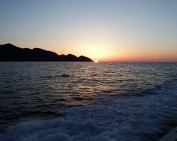 第三むつりょう丸 釣果