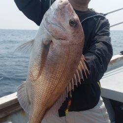 小海途 釣果