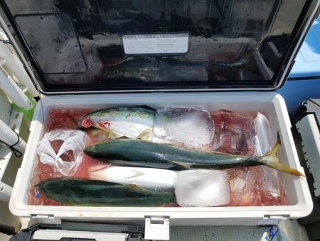 遊漁船 ニライカナイ 釣果