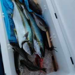 第二大福丸 釣果