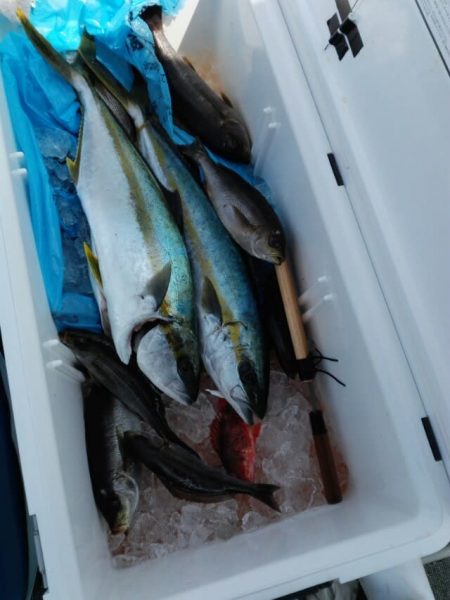 第二大福丸 釣果