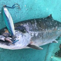 広進丸 釣果