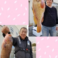 桑田観光 釣果