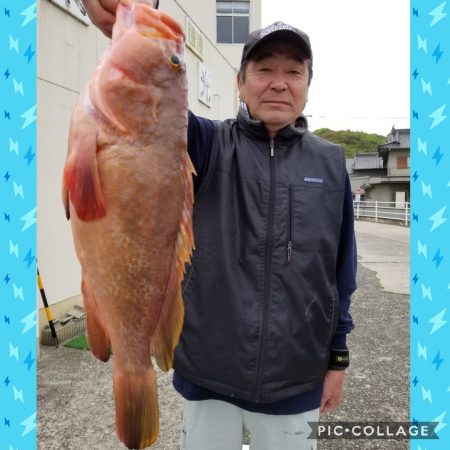 桑田観光 釣果
