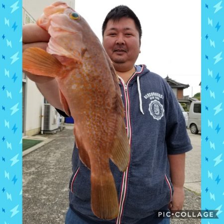 桑田観光 釣果