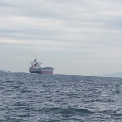 遊漁船 ニライカナイ 釣果