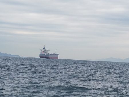 遊漁船 ニライカナイ 釣果