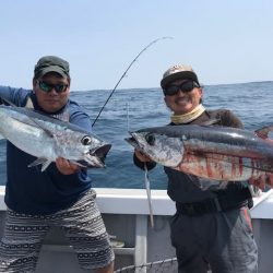 へいみつ丸 釣果