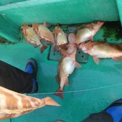 第二むつ漁丸 釣果