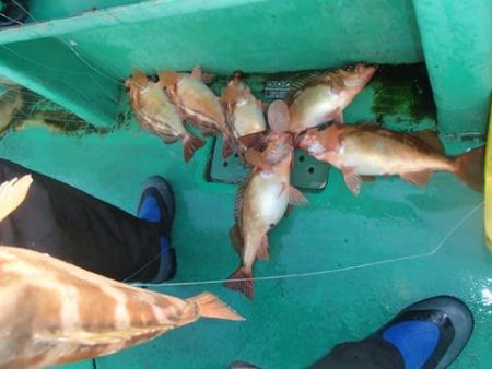 第二むつ漁丸 釣果