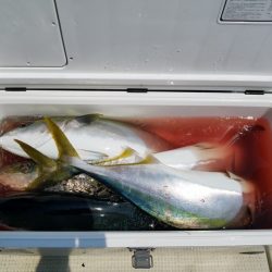 遊漁船 ニライカナイ 釣果