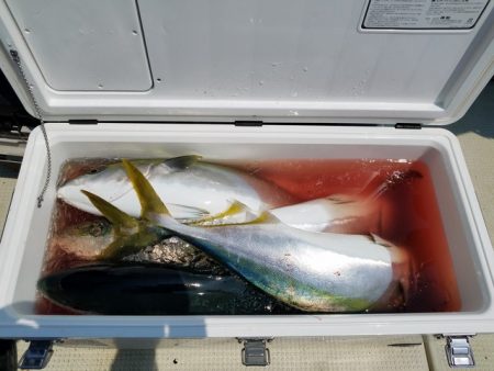 遊漁船 ニライカナイ 釣果