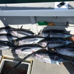 へいみつ丸 釣果