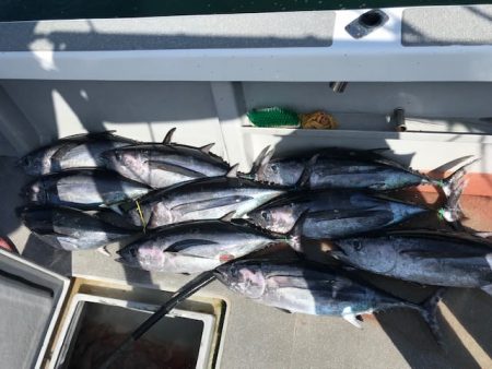 へいみつ丸 釣果