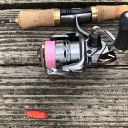 フィッシング サンクチュアリ 釣果