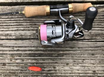 フィッシング サンクチュアリ 釣果