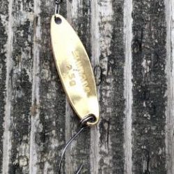 フィッシング サンクチュアリ 釣果