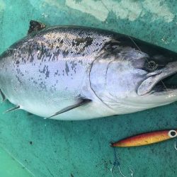 広進丸 釣果