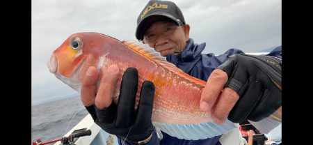 海夢偉 釣果