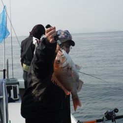 遊漁船 遊友 釣果