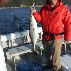 遊漁船 遊友 釣果