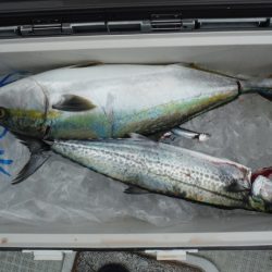 遊漁船 遊友 釣果