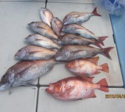 第十八吉栄丸 釣果