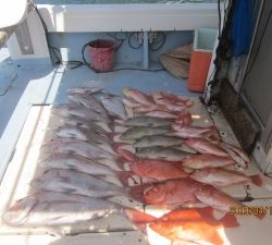 第十八吉栄丸 釣果