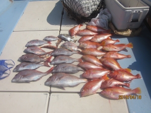 第十八吉栄丸 釣果