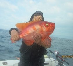 第十八吉栄丸 釣果