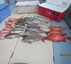 第十八吉栄丸 釣果