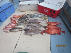 第十八吉栄丸 釣果