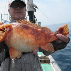 真祐丸 (しんゆうまる) 釣果