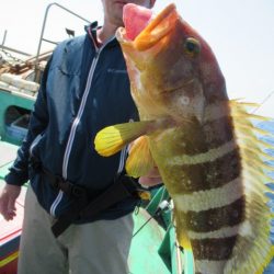 真祐丸 (しんゆうまる) 釣果