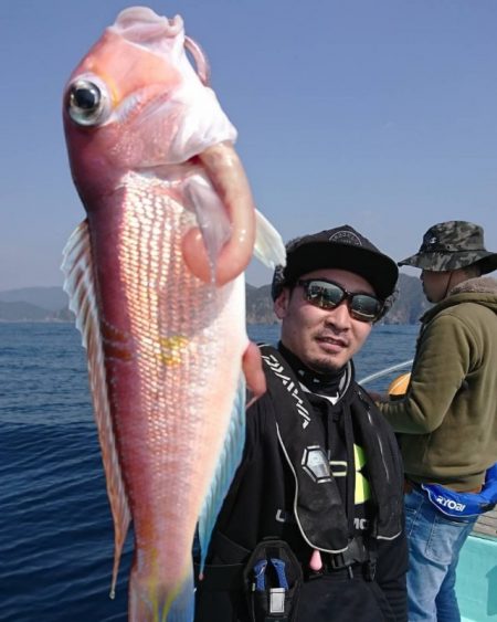 シードリーム 釣果