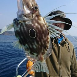 シードリーム 釣果