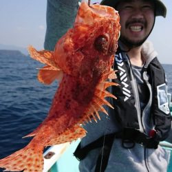 シードリーム 釣果