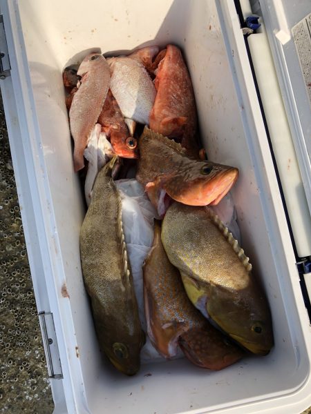 リトルワン 釣果